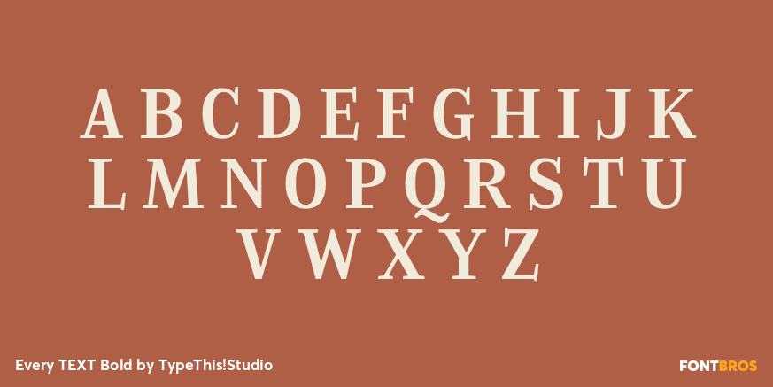 Every TEXT Bold Font Poster #1