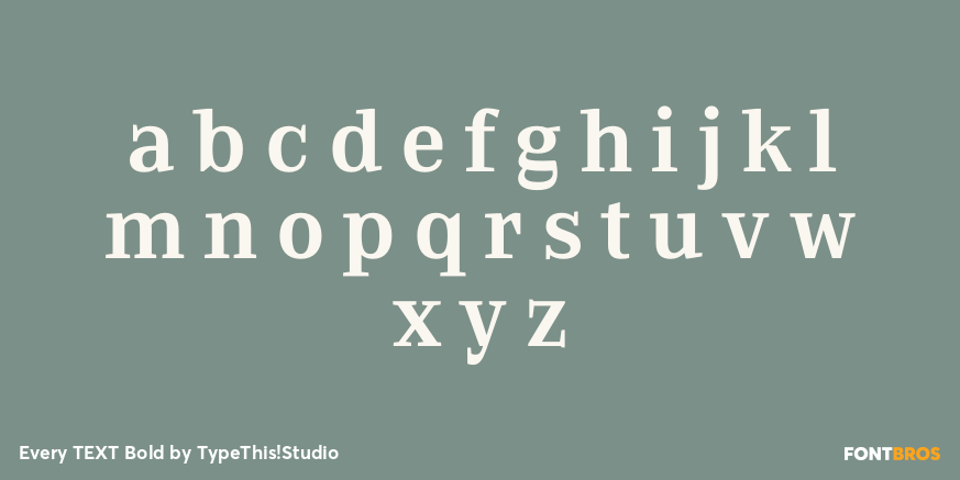 Every TEXT Bold Font Poster #1