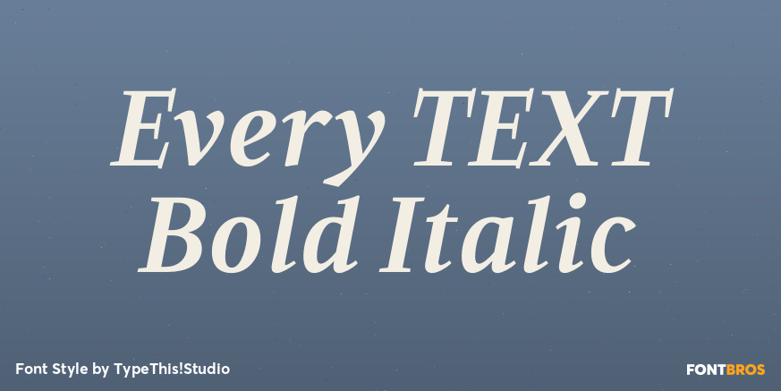 Every TEXT Bold Italic Font Poster #1