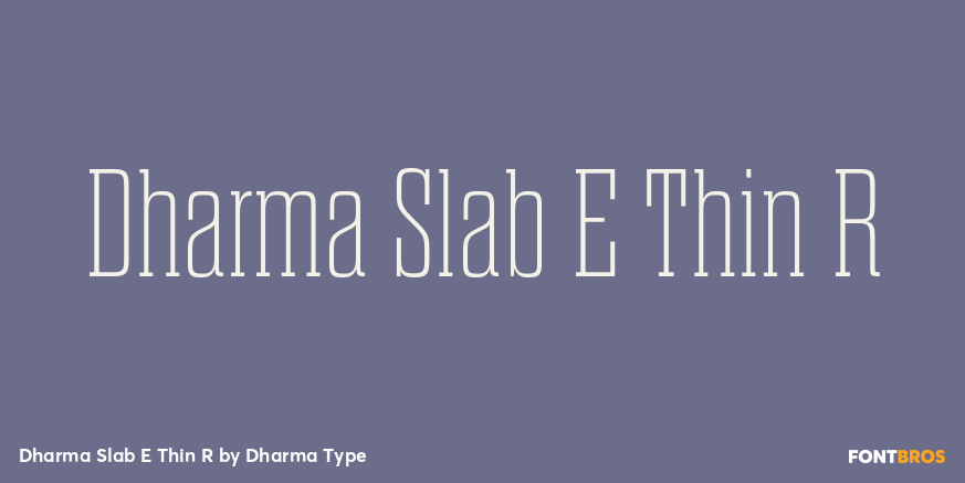 Dharma Slab E Thin R Font Poster #1