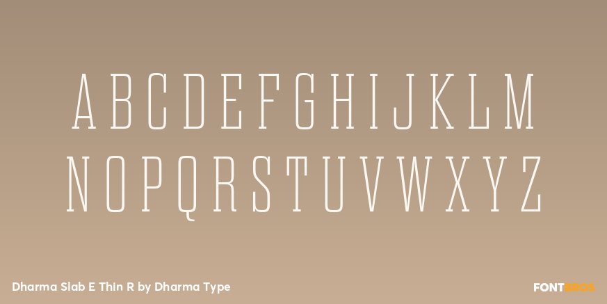 Dharma Slab E Thin R Font Poster #2
