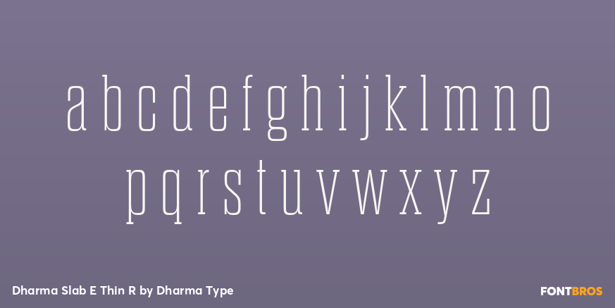 Dharma Slab E Thin R Font Poster #3