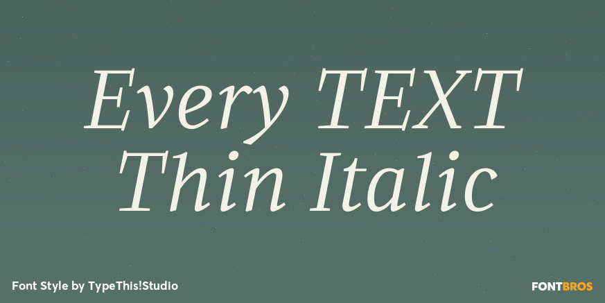 Every TEXT Thin Italic Font Poster #1