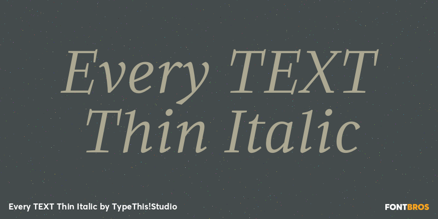 Every TEXT Thin Italic Font Poster #1