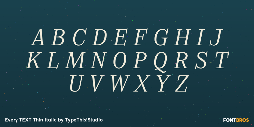 Every TEXT Thin Italic Font Poster #2