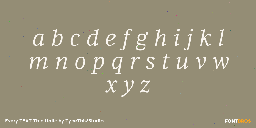 Every TEXT Thin Italic Font Poster #3