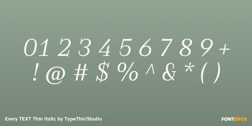 Every TEXT Thin Italic Font Poster #4