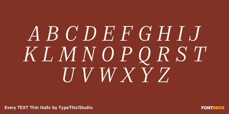 Every TEXT Thin Italic Font Poster #1