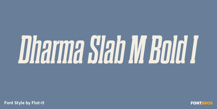 Dharma Slab M Bold I Font Poster #1