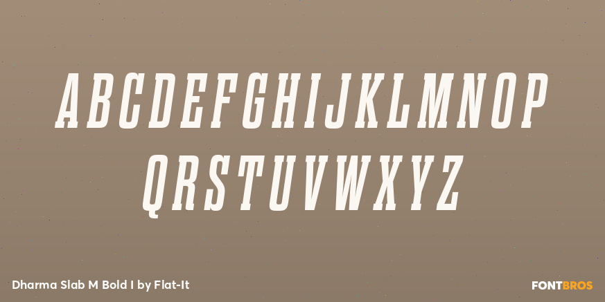 Dharma Slab M Bold I Font Poster #2