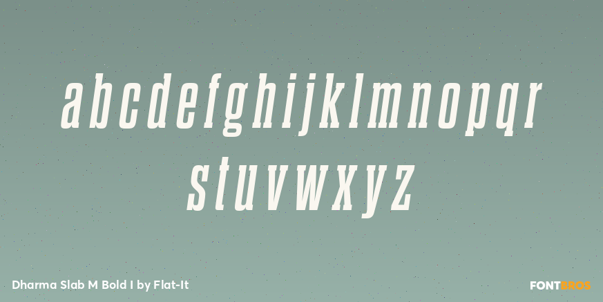 Dharma Slab M Bold I Font Poster #3