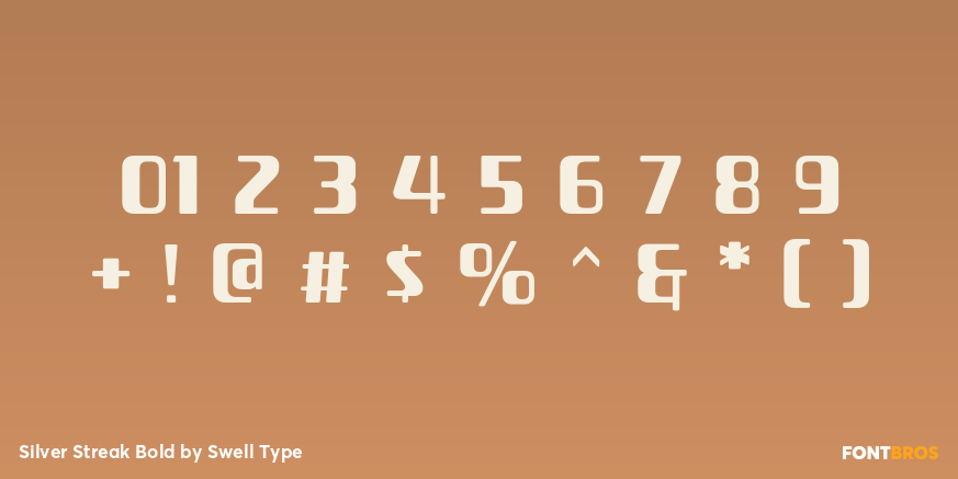 Silver Streak Bold Font Poster #1