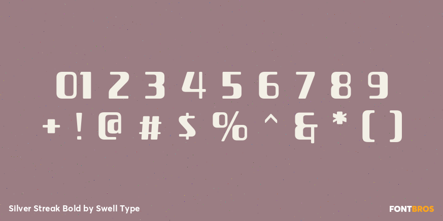 Silver Streak Bold Font Poster #4