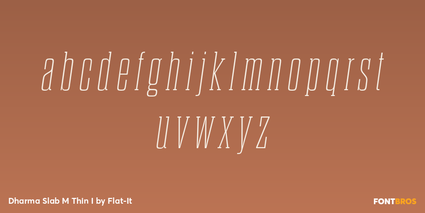 Dharma Slab M Thin I Font Poster #3