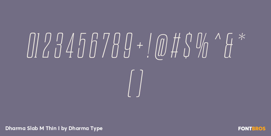 Dharma Slab M Thin I Font Poster #4
