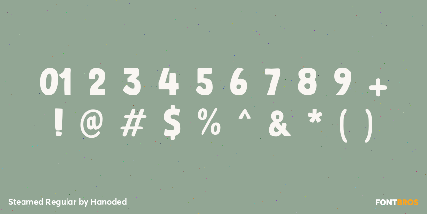 Steamed Regular Font Poster #4