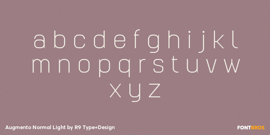 Augmento Normal Light Font Poster #3