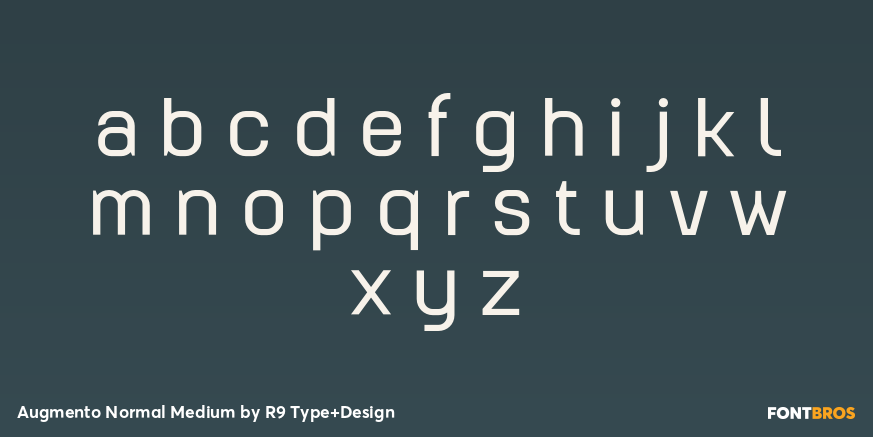 Augmento Normal Medium Font Poster #3