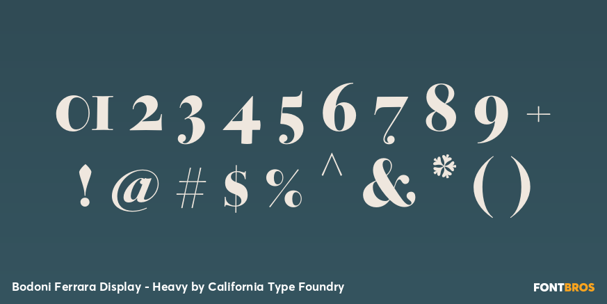 Bodoni Ferrara Display - Heavy Font Poster #4