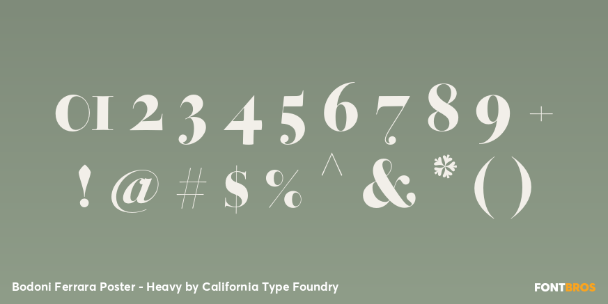 Bodoni Ferrara Poster - Heavy Font Poster #1