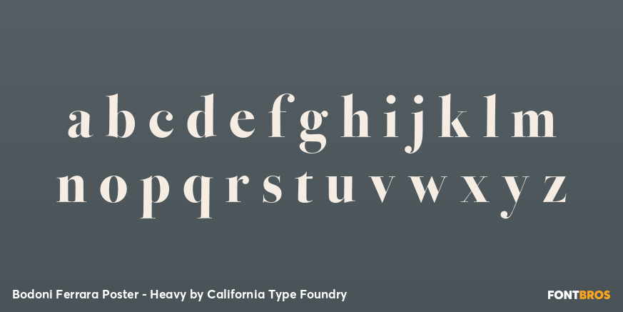 Bodoni Ferrara Poster - Heavy Font Poster #1