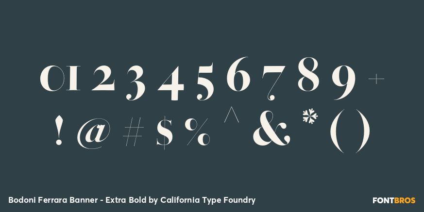 Bodoni Ferrara Banner - Extra Bold Font Poster #4