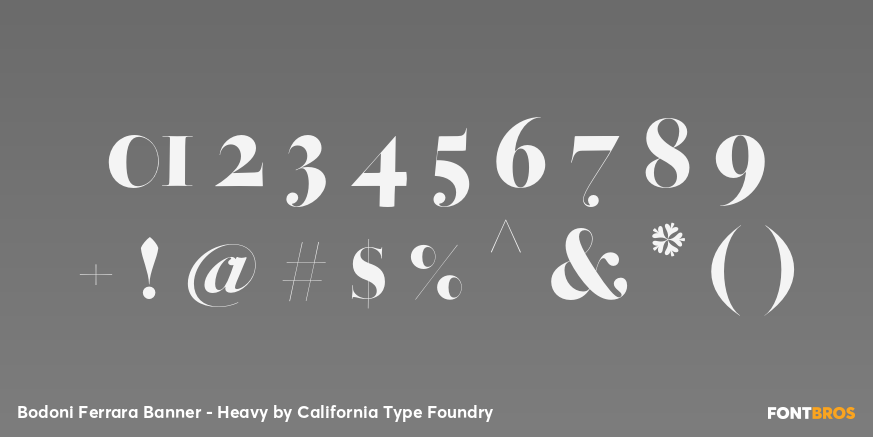 Bodoni Ferrara Banner - Heavy Font Poster #1