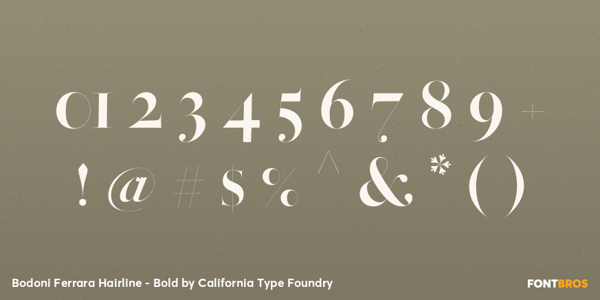 Bodoni Ferrara Hairline - Bold Font Poster #4
