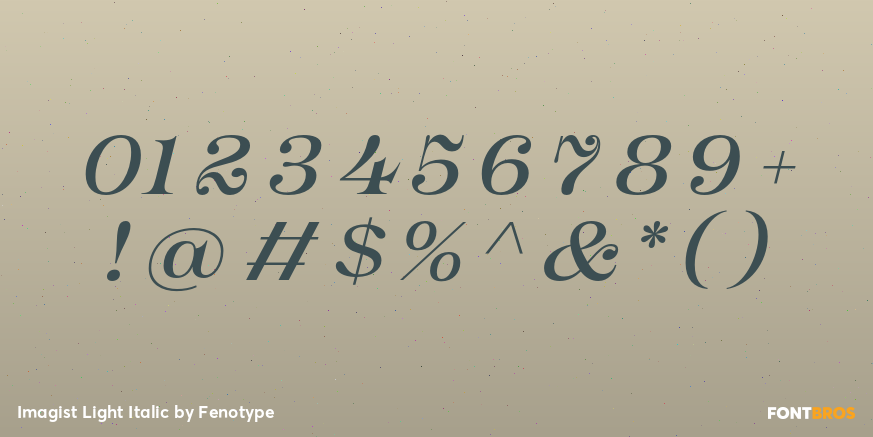 Imagist Light Italic Font Poster #4