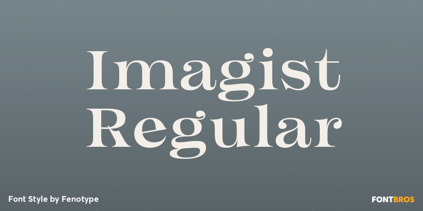 Imagist Regular Poster