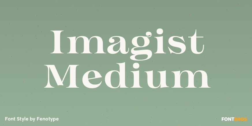 Imagist Medium Poster