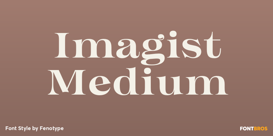 Imagist Medium Poster