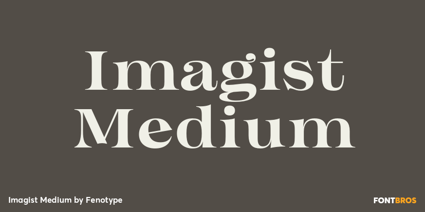 Imagist Medium Poster