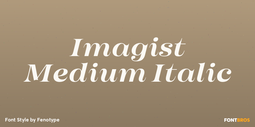 Imagist Medium Italic Poster