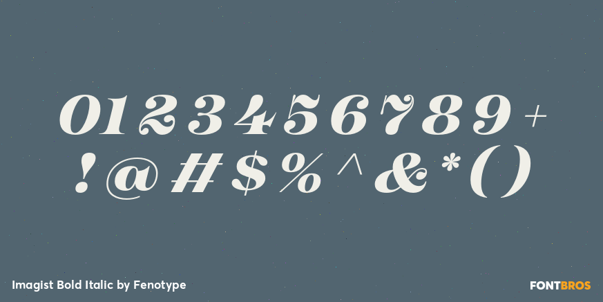 Imagist Bold Italic Font Poster #4