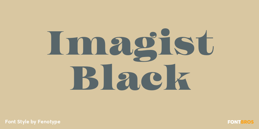 Imagist Black Poster