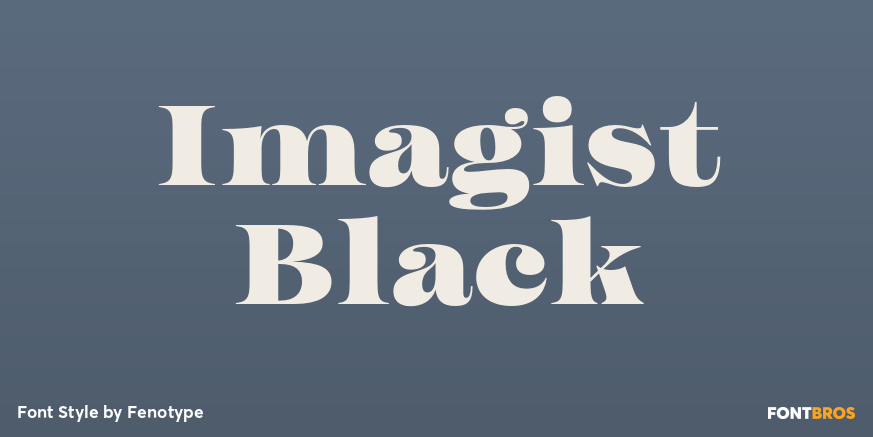 Imagist Black Poster