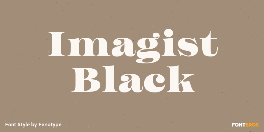 Imagist Black Poster