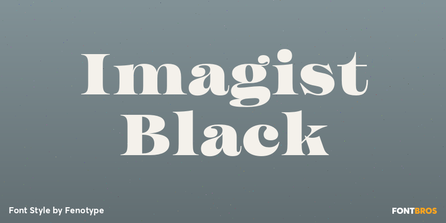 Imagist Black Poster