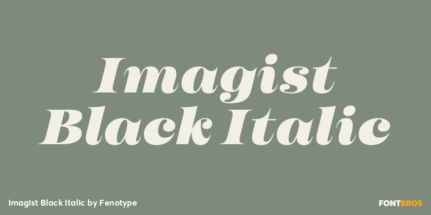 Imagist Black Italic Poster