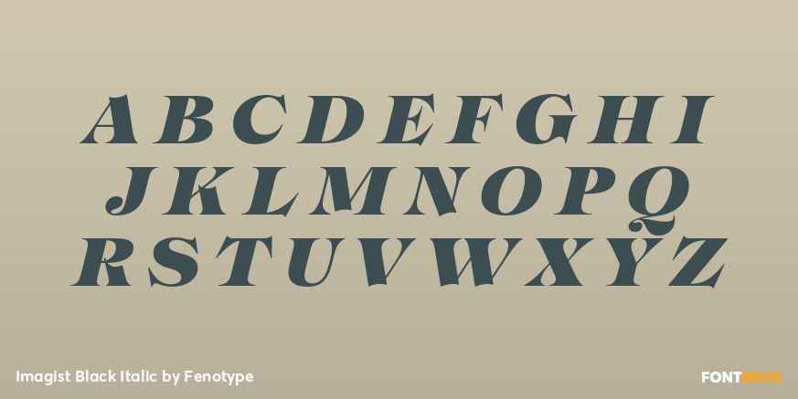 Imagist Black Italic Font Poster #2