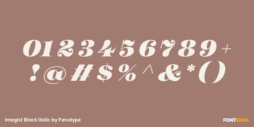 Imagist Black Italic Font Poster #4