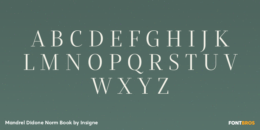 Mandrel Didone Norm Book Font Poster #2