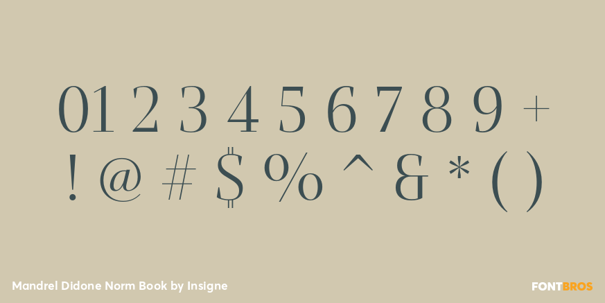 Mandrel Didone Norm Book Font Poster #4