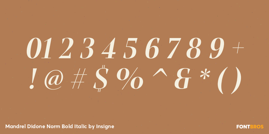 Mandrel Didone Norm Bold Italic Font Poster #4