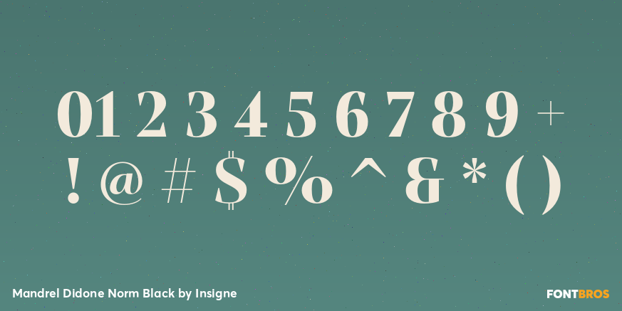 Mandrel Didone Norm Black Font Poster #4