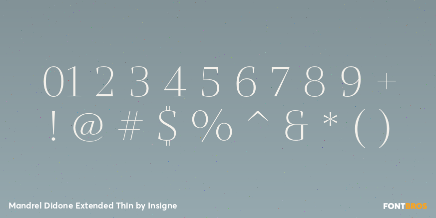 Mandrel Didone Extended Thin Font Poster #4