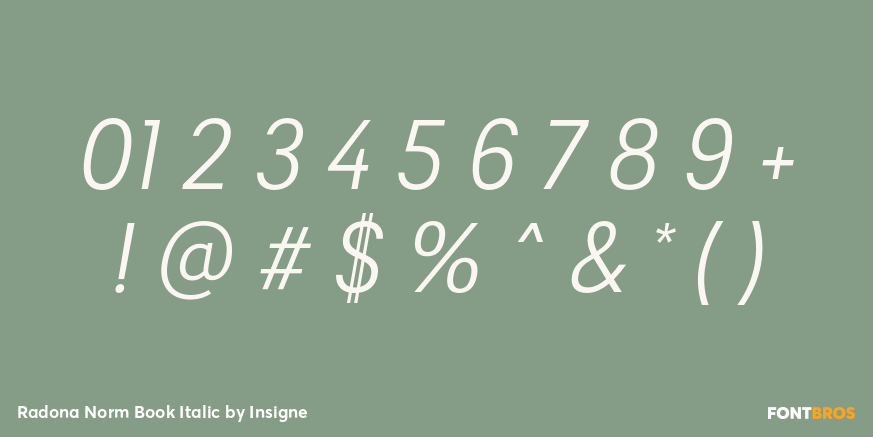 Radona Norm Book Italic Font Poster #4