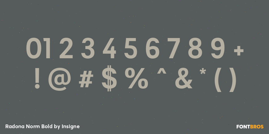 Radona Norm Bold Font Poster #4