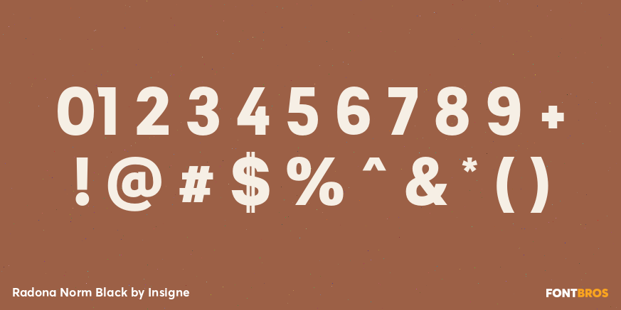 Radona Norm Black Font Poster #4